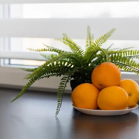 Appartement Szlachecka With Balcony & Parking By Renters Warschau